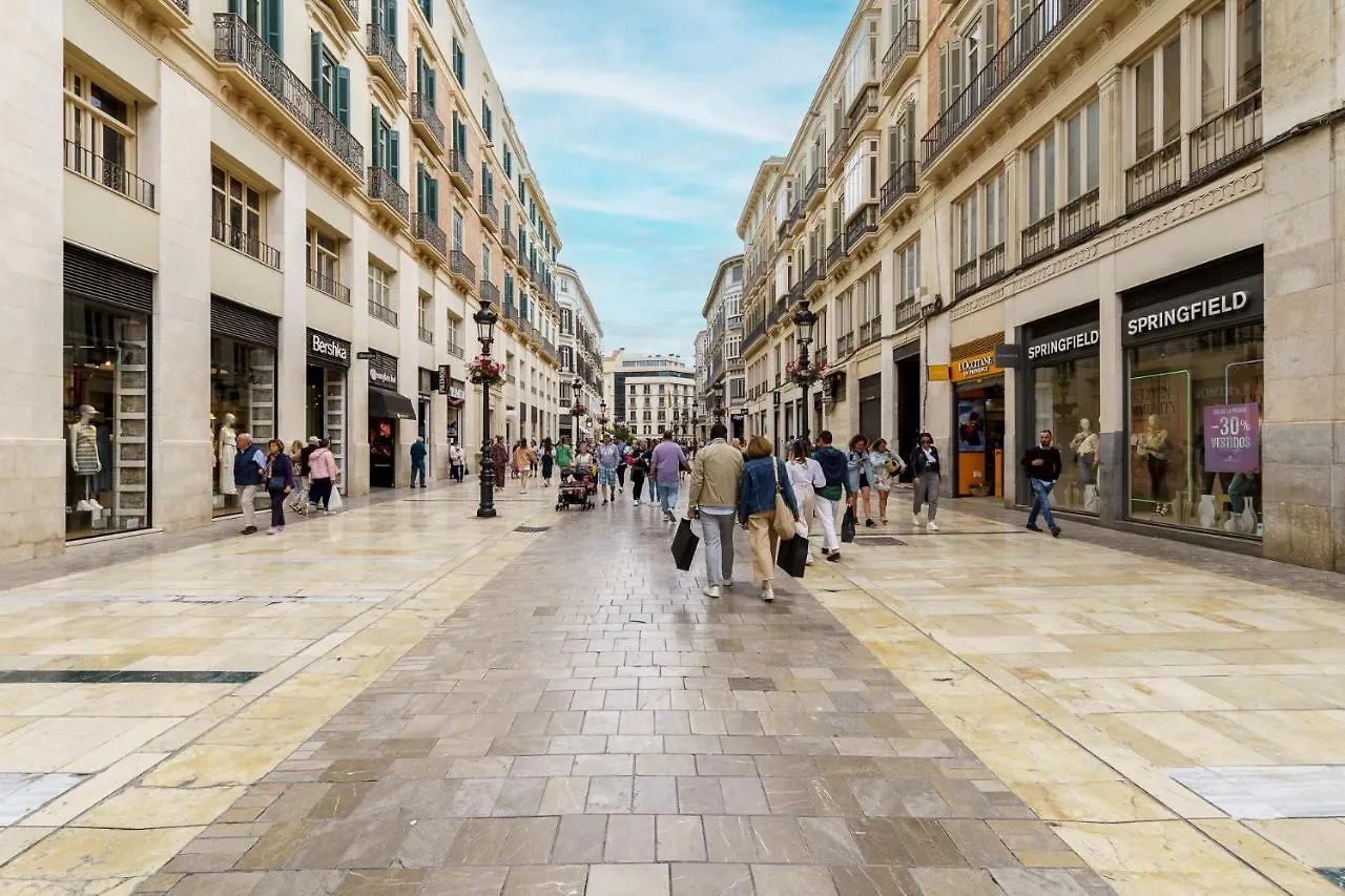 Daire Apartamento Moderno Calle Larios Málaga