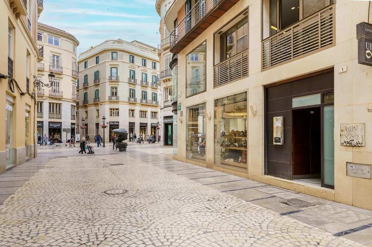 Apartamento Moderno Calle Larios Malaga